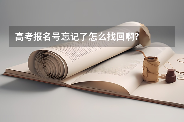 高考报名号忘记了怎么找回啊?