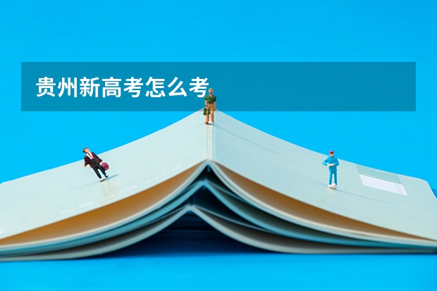 贵州新高考怎么考